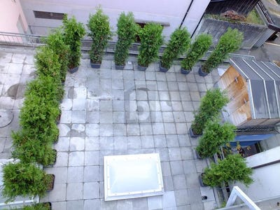 /international/ch/erstfeld-canton-of-uri-310108420888/