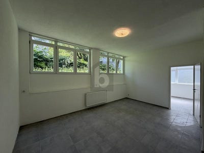 /international/ch/zurich-zurich-310108483213/