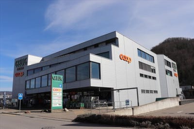 /international/ch/wambisterstrasse-1-gebenstorf-aargau-310101563417/