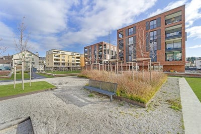 /international/ch/rue-de-guillermaux-5-payerne-vaud-310107943937/