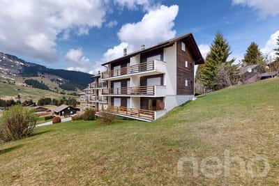 /international/ch/les-mosses-les-mosses-vaud-310108110550/