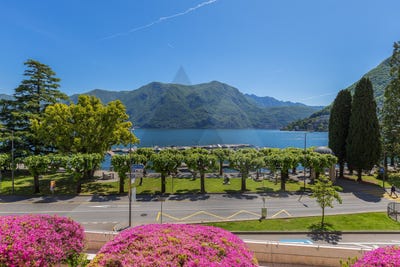 /international/ch/riva-caccia-lugano-ticino-310109074532/