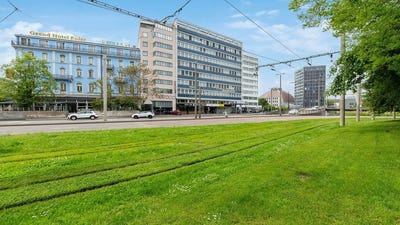/international/ch/elisabethenanlage-7-basel-basel-stadt-310105651445/