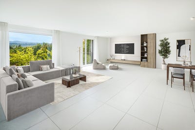 /international/ch/meilen-zurich-310101469214/