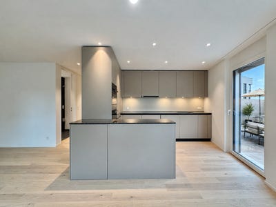 /international/ch/alte-zihlstrasse-12-hinwil-zurich-310107739414/