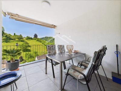 /international/ch/holstein-basel-landschaft-310101337996/?lang=zh-tw