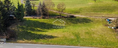 /international/ch/holstein-basel-landschaft-310108452882/