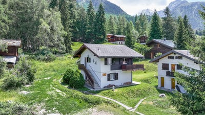 /international/ch/grachen-valais-310109200884/