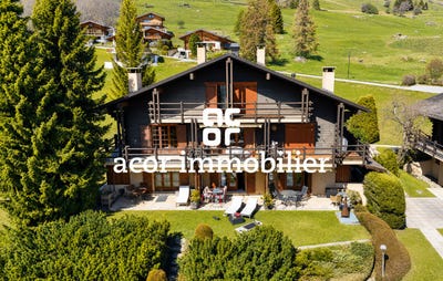 /international/ch/rue-de-patier-6-verbier-valais-310108181821/