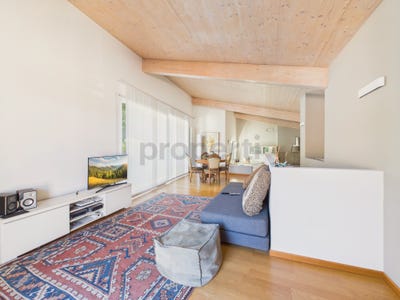 /international/ch/contone-ticino-310108307249/
