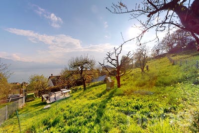 /international/ch/grandvaux-grandvaux-vaud-310104099122/