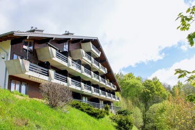 /international/ch/route-des-henriolettes-10-ste-croix-vaud-310107292979/