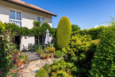 /international/ch/vich-vaud-310109018118/