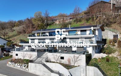 /international/ch/drone-saviese-valais-310108183267/
