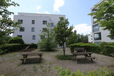 /international/ch/wisentalstrasse-6-bulach-zurich-310108988829/
