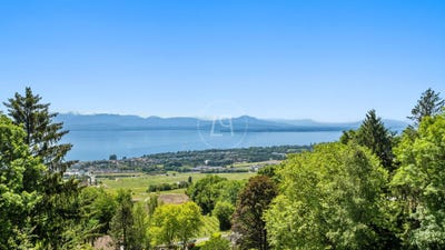 /international/ch/essertines-sur-rolle-vaud-310108670539/
