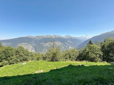 /international/ch/les-collons-les-collons-valais-310102235307/