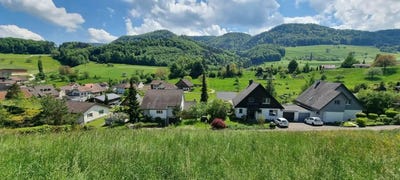 /international/ch/fluhgasse-bretzwil-basel-landschaft-310108725779/