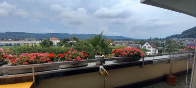 /international/ch/wurenlos-aargau-310109045239/
