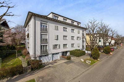 /international/ch/steinbuhlallee-172-allschwil-lucerne-310108992218/