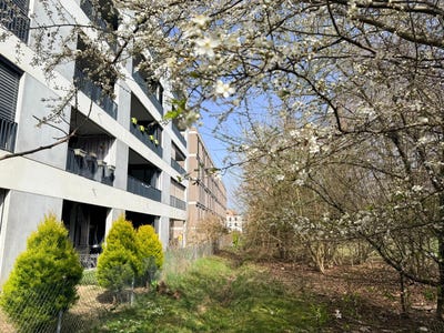 /international/ch/meyrin-geneva-310108590289/
