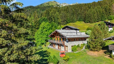 /international/ch/leysin-vaud-310120596202/