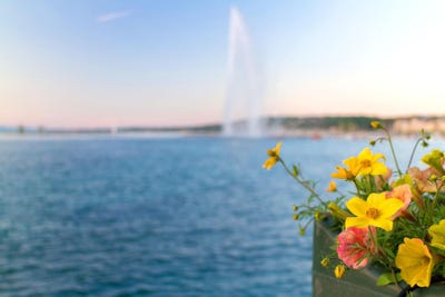 /international/ch/geneve-geneva-310108182381/