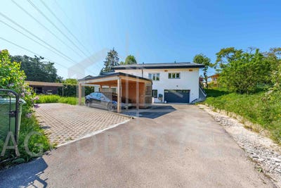 /international/ch/canton-de-vaud-vaud-310107671203/