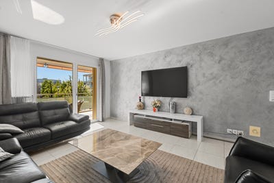 /international/ch/43-binzstrasse-wetzikon-thurgau-310107766848/