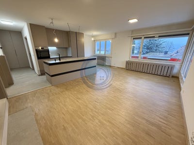 /international/ch/route-d-andix-12-blonay-vaud-310107701784/