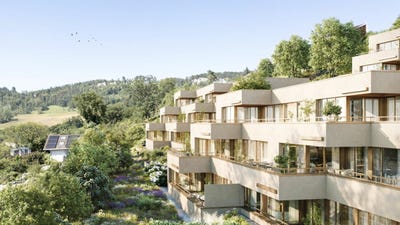 /international/ch/anna-zipper-weg-13-duggingen-basel-landschaft-310107467288/