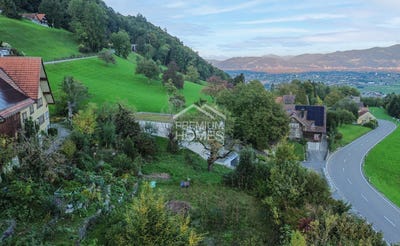 /international/ch/berneck-st-gallen-310103458459/