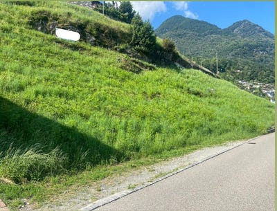 /international/ch/imp-centr-dist-agarone-agarone-ticino-310100933499/