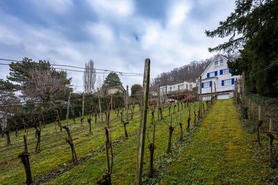 /international/ch/muttenz-basel-landschaft-canton-310106395111/