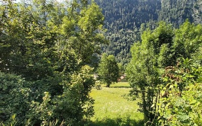 /international/ch/faido-ticino-310100931712/
