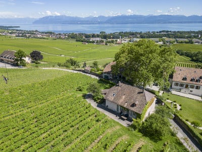 /international/ch/tartegnin-tartegnin-vaud-310105026980/