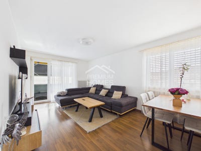 /international/ch/schonenwerd-canton-of-solothurn-310106571060/