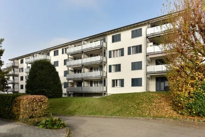 /international/ch/im-welschland-12-affoltern-am-albis-zurich-310108483396/