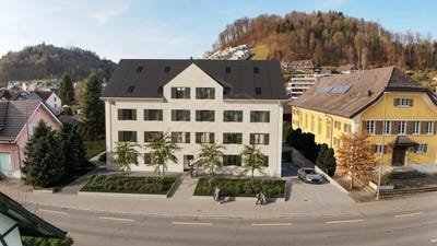 /international/ch/seetalstrasse-124-schafisheim-aargau-310098944490/