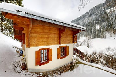 /international/ch/morgins-morgins-valais-310107360665/