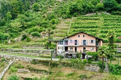 /international/ch/gudo-ticino-310100907632/