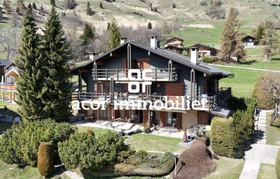 /international/ch/rue-de-patier-6-verbier-valais-310108181821/