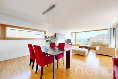 /international/ch/horgen-horgen-zurich-310108210131/