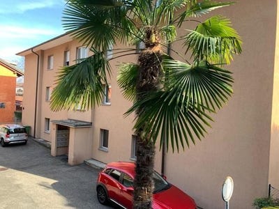 /international/ch/muralto-ticino-310100933892/
