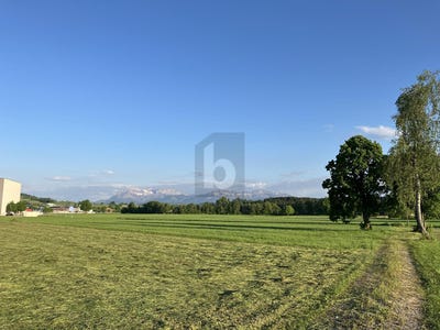 /international/ch/auf-anfrage-buttisholz-lucerne-310100784278/?lang=zh-cn