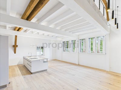/international/ch/benken-zh-zurich-canton-310101172592/?lang=zh-cn