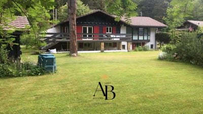 /international/ch/st-cergue-vaud-310108049368/