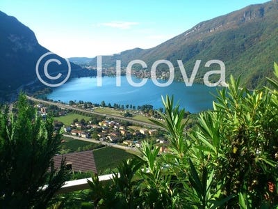 /international/ch/rovio-ticino-310108599621/