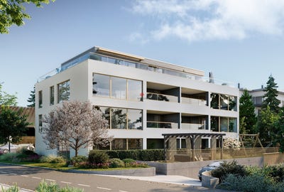 /international/ch/alzbachstrasse-13-reinach-ag-aargau-310100905169/
