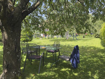 /international/ch/mollens-vd-vaud-310108558868/